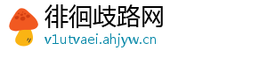 徘徊歧路网